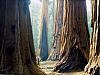 In the land of the giants